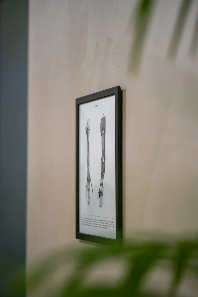 Attrezzature professionali per riabilitazione e terapia manuale Chiavari